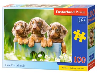 PUZZLE 100 ELEMENTÓW CUTE DACHSHUNDS CASTORLAND B-111213 CASTOR