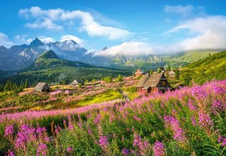 PUZZLE 1000 ELEMENTÓW HALA GĄSIENICOWA, TATRAS, POLAND CASTORLAND C-104512 CASTOR