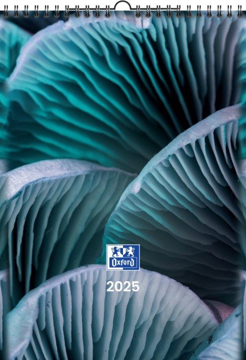 KALENDARZ ŚCIENNY 2025 OXFORD NATURE A3 HAMELIN