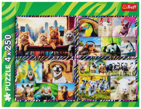 PUZZLE 4X250 ZABAWNE ZWIERZAKI ZOO TREFL 13313 TR TREFL