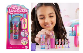 BRB BARBIELAND MINI REVEAL MIX HYF28 TUB10 MATTEL