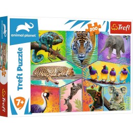 PUZZLE 200 ELEMENTS IN THE EXOTIC WORLD OF TREFL 13280