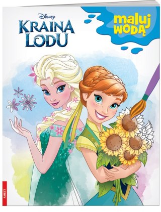 FROZEN AMEET WATER PAINTING BOOK