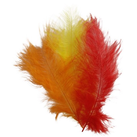 DECORATIVE FEATHERS RED, ORANGE, YELLOW 50 PCS. TITANUM CRAFT-FUN SERIES