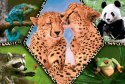 PUZZLE 100 ELEMENTS BEAUTY OF NATURE TREFL 16424 TR