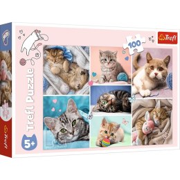 PUZZLE 100 ELEMENTS IN THE CAT'S WORLD TREFL 16420