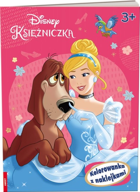 PAINTING BOOK 205X290 DISNEY PRINCESS STICKERS AM