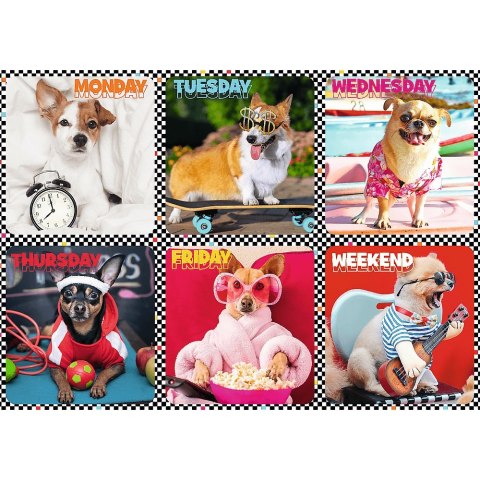 PUZZLE 200 PIECES HAPPY DOGS TREFL 13279 TR