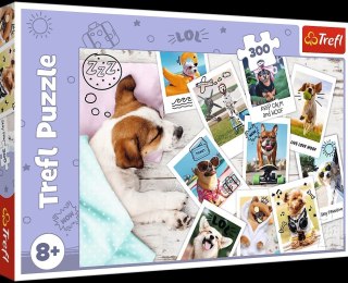 PUZZLE 300 pcs. PHOTOS FROM VACATION TREFL PUD 23003 TREFL