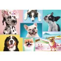 PUZZLE 1500 PIECES SWEET DOGS TREFL 26186 TR