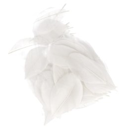 DECORATIVE FEATHERS WHITE 5-8CM 3G CRAFT WITH FUN 463630