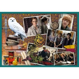 PUZZLE 10IN1 IN THE WORLD OF HARRY POTTER TREFL 90392 TR