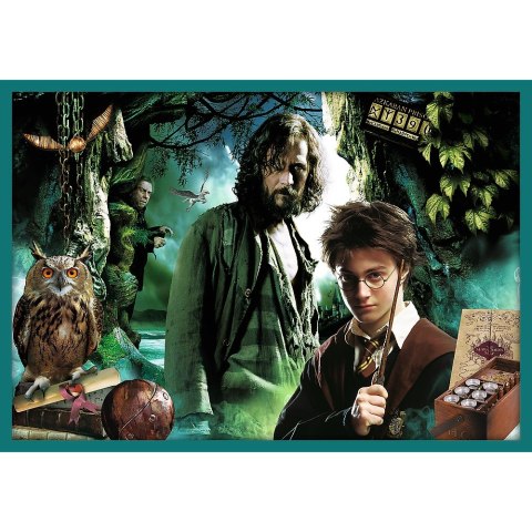 PUZZLE 10IN1 IN THE WORLD OF HARRY POTTER TREFL 90392 TR