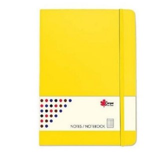 NOTEBOOK WITH ERASER B5 96 SHEETS GRID HARD COVER MIX OF COLORS CANPOL NB5-96K