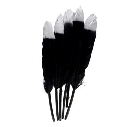 DECORATIVE FEATHERS 10-15CM BLACK/SILVER CRAFT WITH FUN 463663