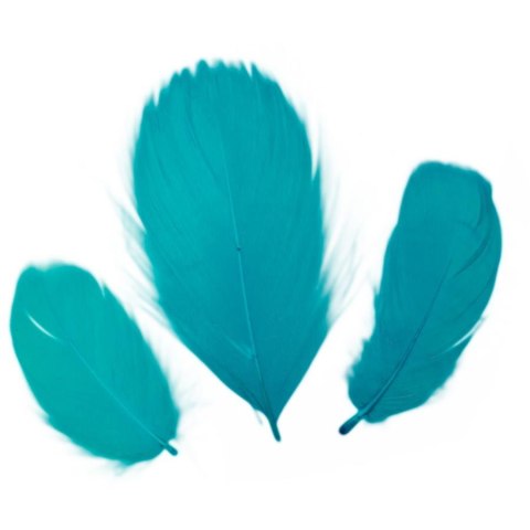 DECORATIVE FEATHERS 16G LIGHT TURQUOISE TITANUM CRAFT-FUN SERIES