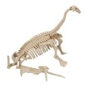 Dinosaur skeleton in a tube