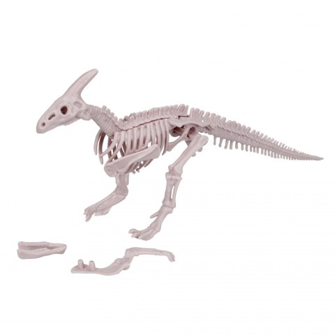 Dinosaur skeleton in a tube