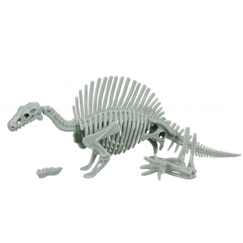 Dinosaur skeleton in a tube