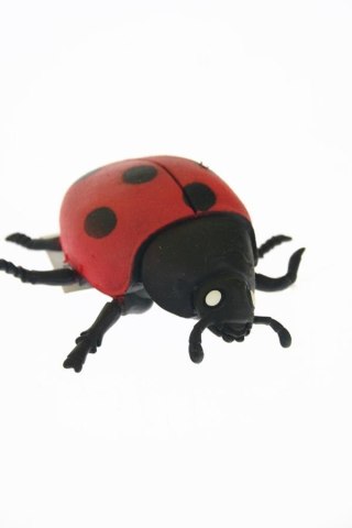 LADYBUGGUM WITH PENNY 9CM A141B-DB HIPO