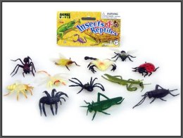 INSECTS 4-7CM 12PCS HIPO