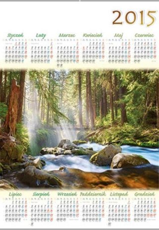 CALENDAR 1 BOARD PL5 FOREST LUCRUM