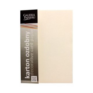 DECORATIVE CARDBOARD A4 CREAM ATLANTA 230G PAPER GALLERY 203202 ARGO