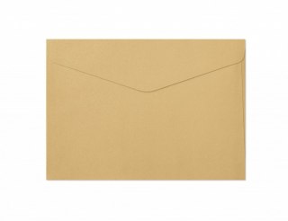 ENVELOPE C5 NK GOLD PEARL PACK10PCS PAPER GALLERY 280688 GAL ARGO