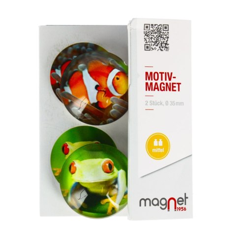 GLASS MAGNET FISH/FROG DOME 3.5 CM PACK 2 PCS MAGNET 115-0-0004 MAGNET