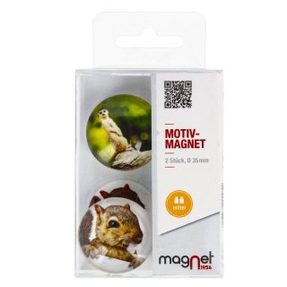 GLASS MAGNET squirrel/meerkat DOME 3.5 CM PACK.2 PCS. MAGNET 115-0-0005 MAGNET