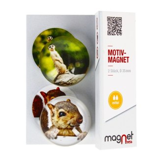 GLASS MAGNET squirrel/meerkat DOME 3.5 CM PACK.2 PCS. MAGNET 115-0-0005 MAGNET