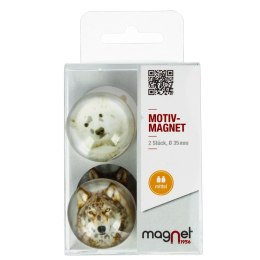 MAGNET GLASS WOLF/BEAR DOME 3.5 CM 2 PCS PACK. MAGNET 231-0-0003 MAGNET