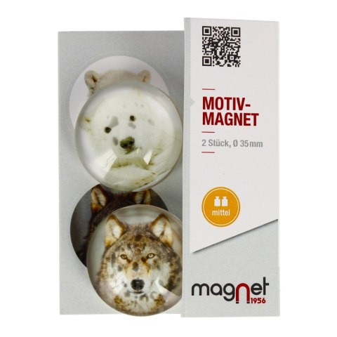 MAGNET GLASS WOLF/BEAR DOME 3.5 CM 2 PCS PACK. MAGNET 231-0-0003 MAGNET