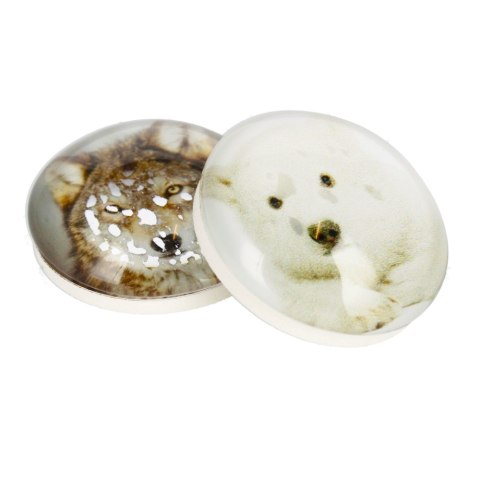 MAGNET GLASS WOLF/BEAR DOME 3.5 CM 2 PCS PACK. MAGNET 231-0-0003 MAGNET