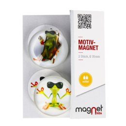 FROG GLASS MAGNET DOME 3.5 CM PACK 2 PCS MAGNET 115-0-0007 MAGNET