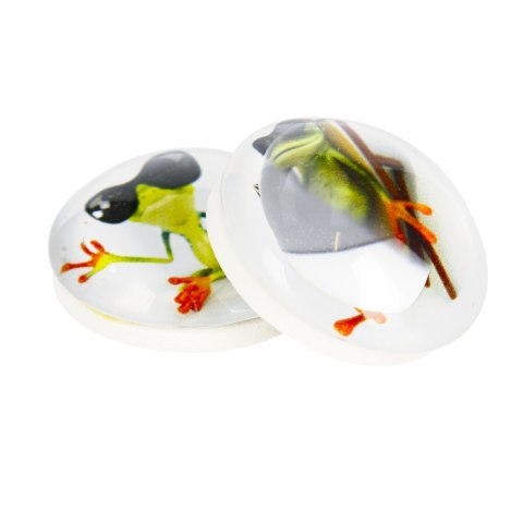 FROG GLASS MAGNET DOME 3.5 CM PACK 2 PCS MAGNET 115-0-0007 MAGNET