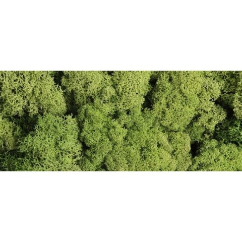 DECORATIVE MOSS TRIM 125G. LIGHT GREEN PBH PENTACOLOR PENTACOLOR