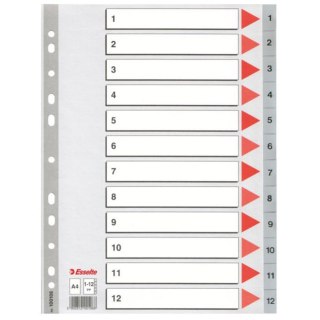 INSERTION A4 PP 1-12 NUMERIC ESSELTE 100106 ESSELTE