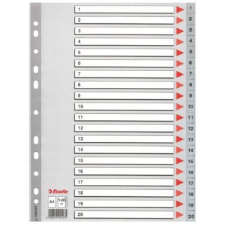 INSERTION A4 PP 1-20 NUMERICAL, ESSELTE 100107 ESSELTE