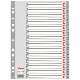 INSERTION A4 PP 1-31 NUMERIC ESSELTE 100108 ESSELTE