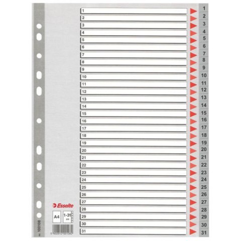 INSERTION A4 PP 1-31 NUMERIC ESSELTE 100108 ESSELTE