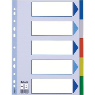 PLASTIC INSERTS IN PP A4 20 CARDS ESSELTE 15263 ESSELTE