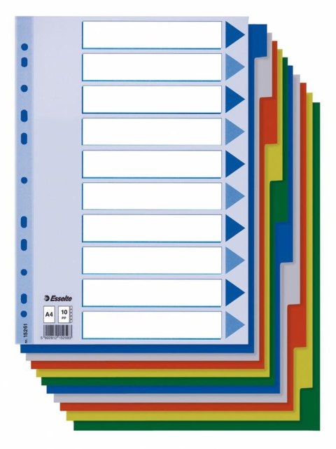 PP PLASTIC INSERTS A4 ESSELTE, 10 ESSELTE CARDS