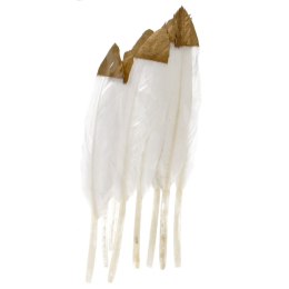 DECORATIVE FEATHERS WHITE/GOLD 10-15CM 3GCRAFT WITH FUN 463660