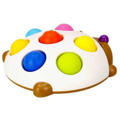 SENSORY TOY BAM BAM 492809 BAM BAM