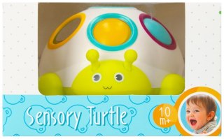 SENSORY TOY TURTLE BAM BAM 492756 BAM BAM