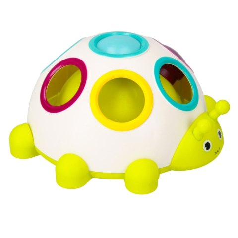 SENSORY TOY TURTLE BAM BAM 492756 BAM BAM