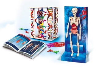 CRATIVE SET HUMAN BODY CLEMENTONI 60249 CLEMENTONI