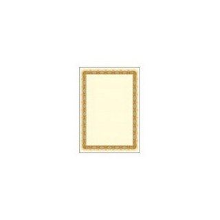 OCCASIONAL DIPLOMA A4 GOLD 170G PAPER GALLERY 913210 ARGO