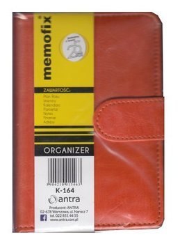 ORGANIZER 100X150 OPR EKO POM ANTR FOL ANTRA